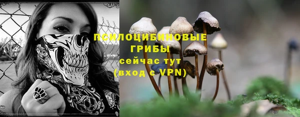 шишки Кодинск