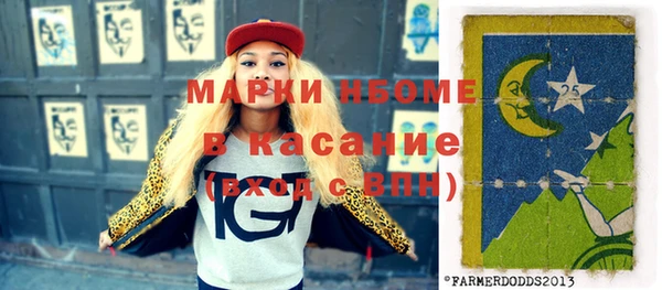 шишки Кодинск