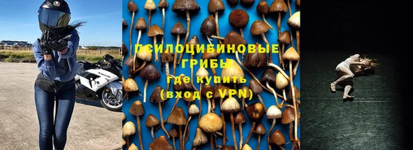 трава Козельск
