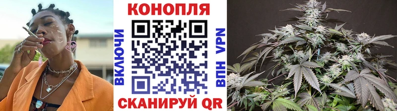 дарнет шоп  Лысково  Каннабис план 